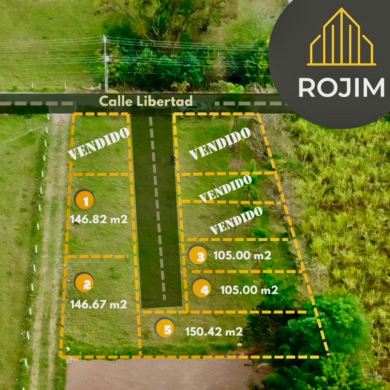 Lote 1