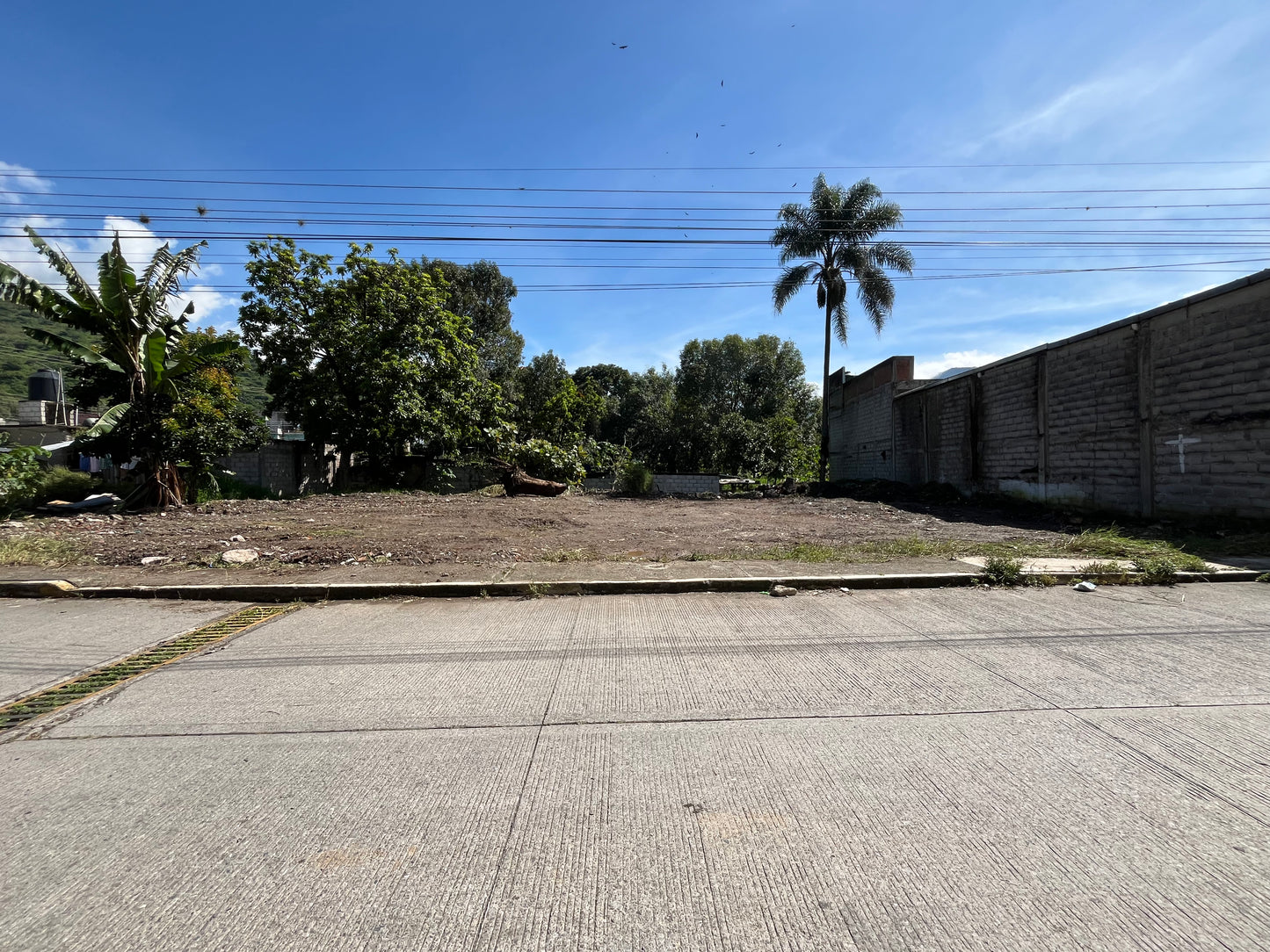Lotes Nogales, Veracruz.