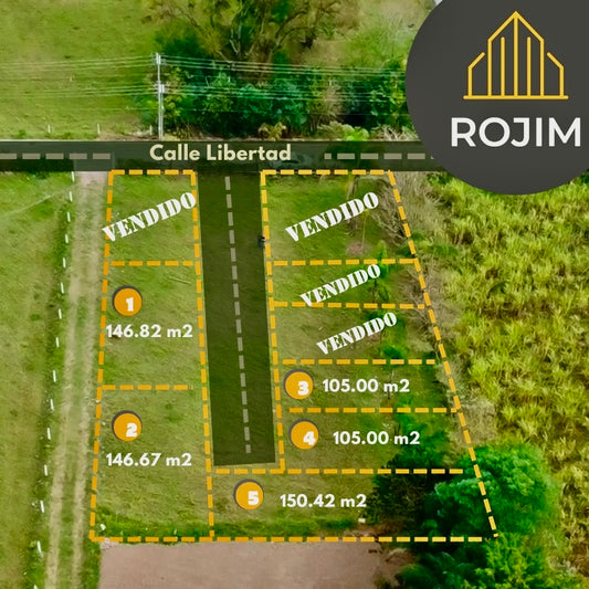 Lote 1